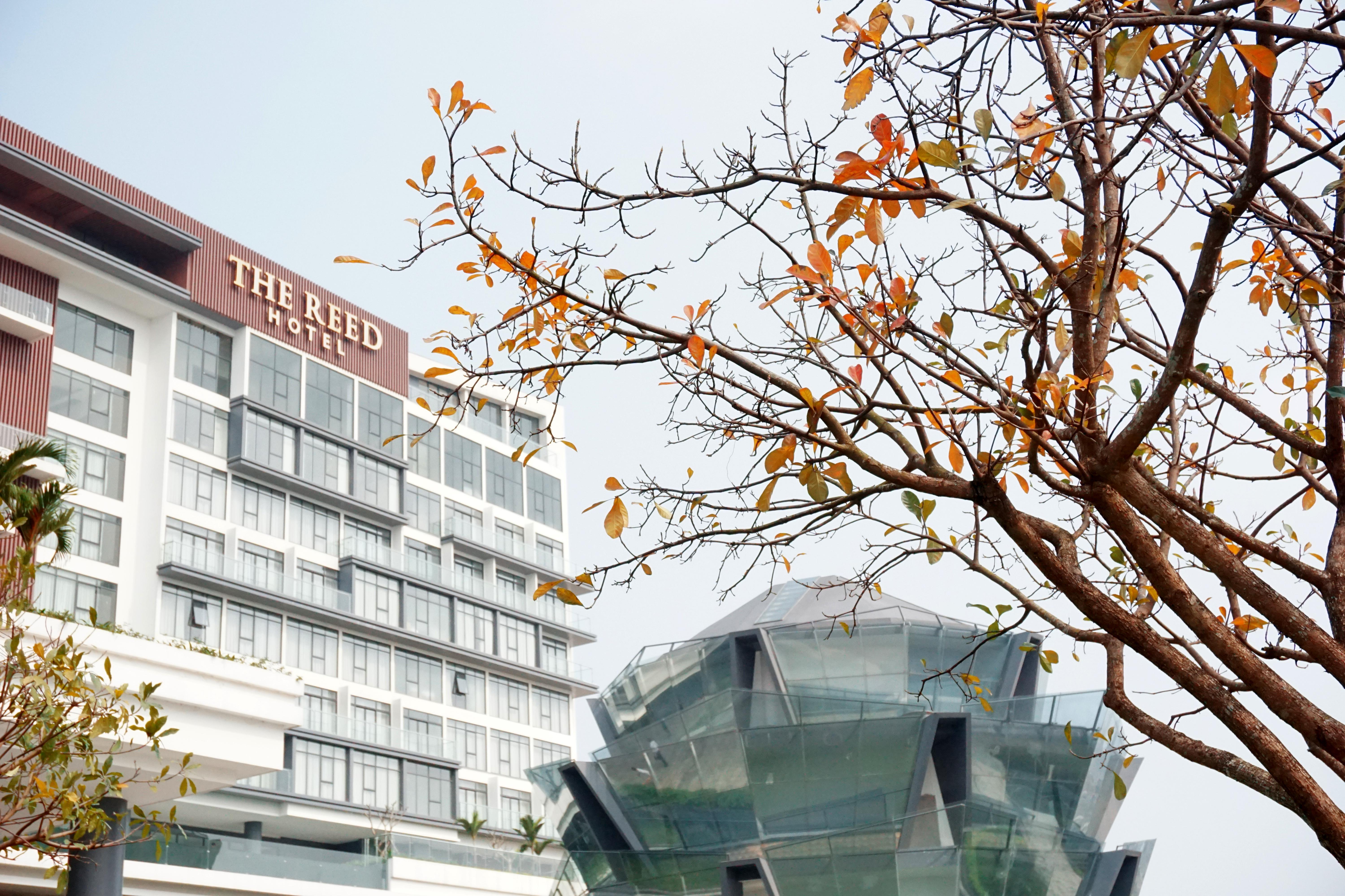 The Reed Hotel Ninh Binh Bagian luar foto
